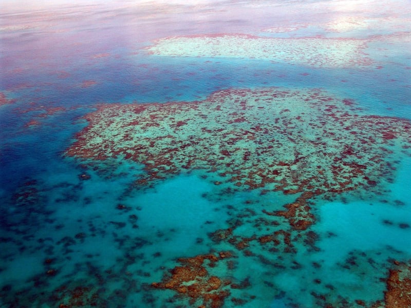 Great Barrier Reef Beach