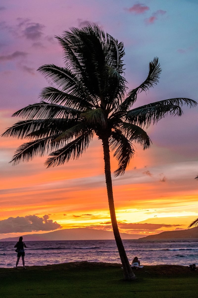 Maui Beach